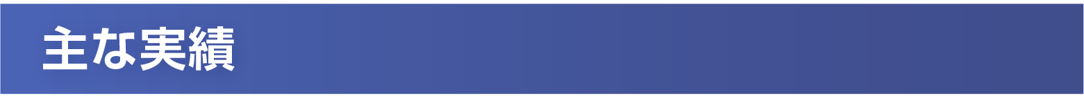 主な実績